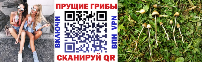 Галлюциногенные грибы MAGIC MUSHROOMS  Купить  Алексин 